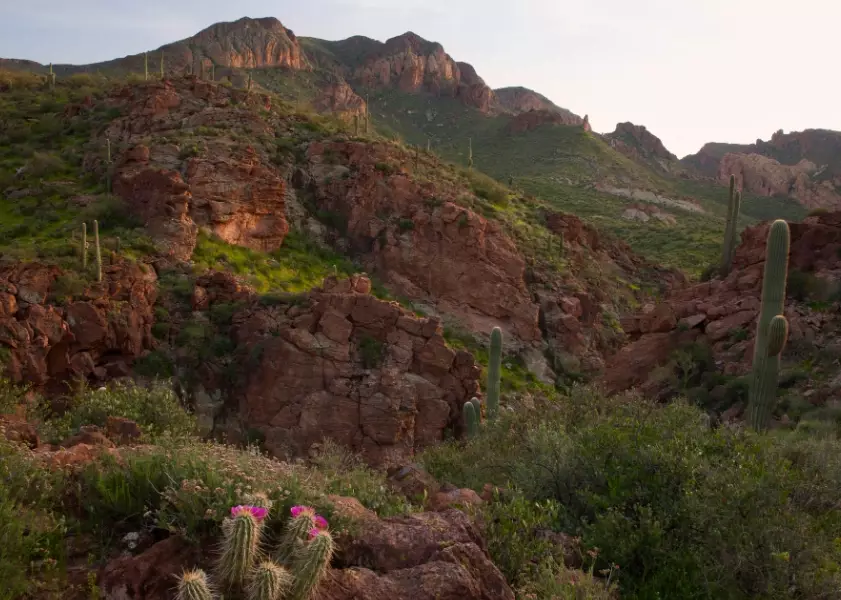 things to do in Tonto National Forest