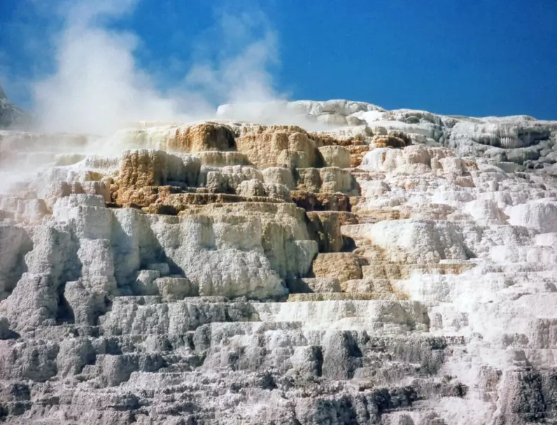 Canary Spring Guide: Insider Tips for Visiting This Yellowstone Gem
