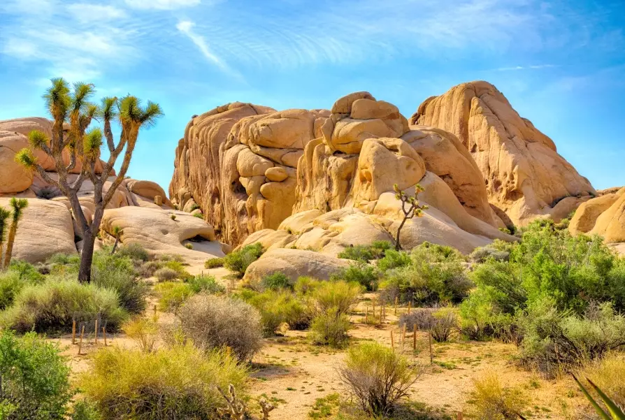 US desert travel