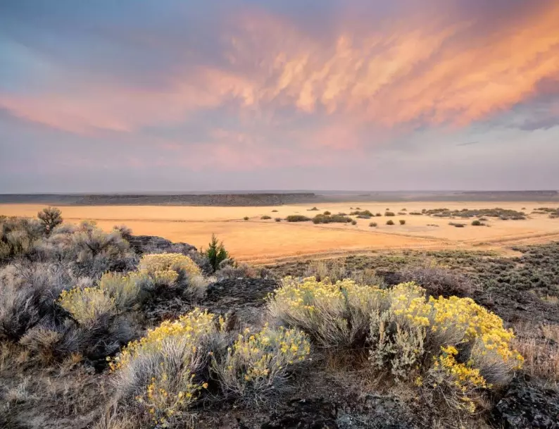 Alvord Desert travel