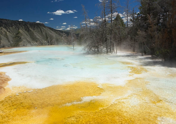 Yellowstone thermal features