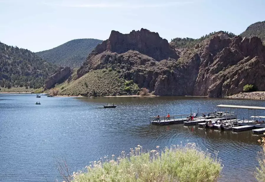 camping in spring valley