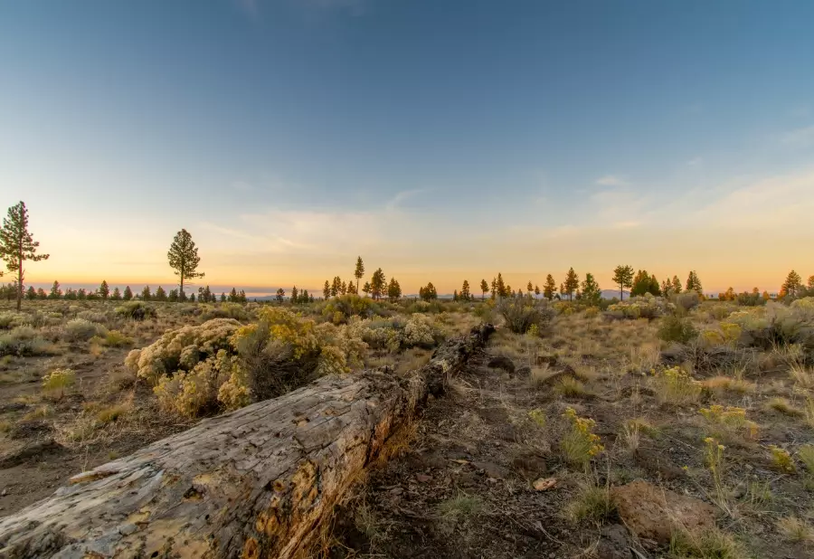 Eastern Oregon road trip