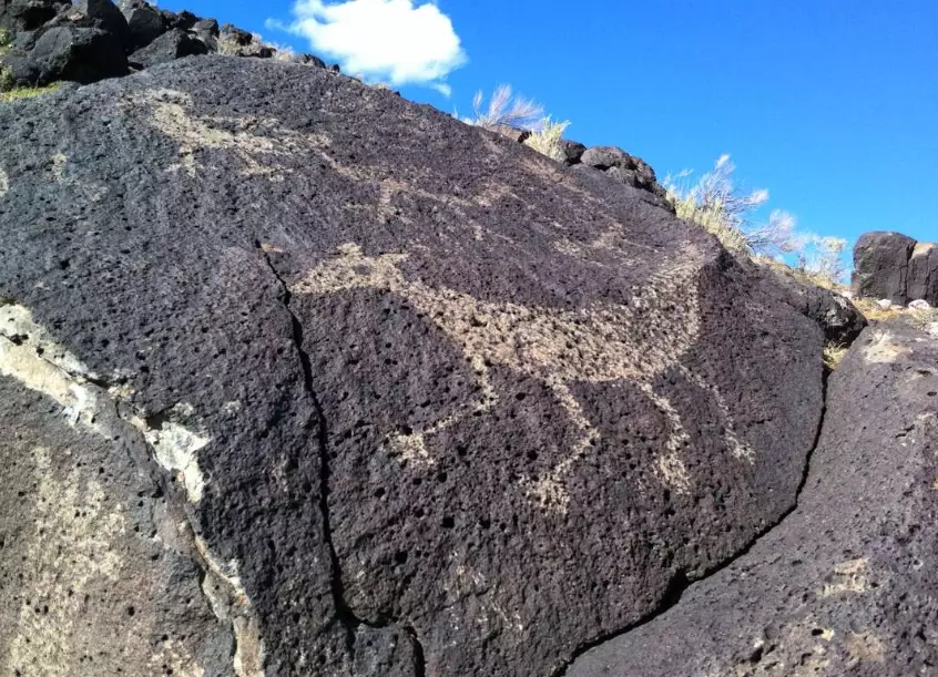 Piedras Marcadas Canyon petroglyphs